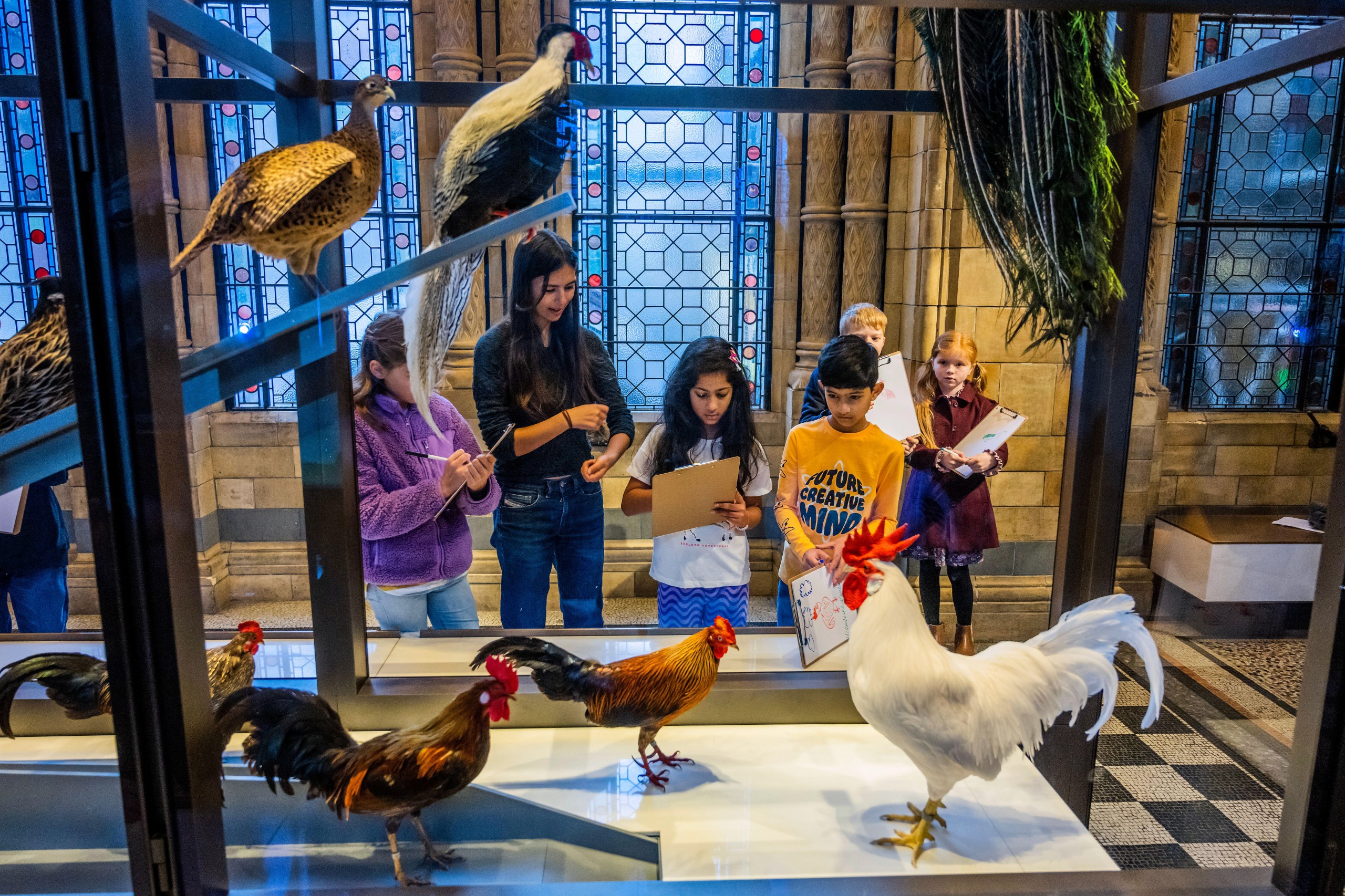 Interactive exhibits at the Natural History Museum