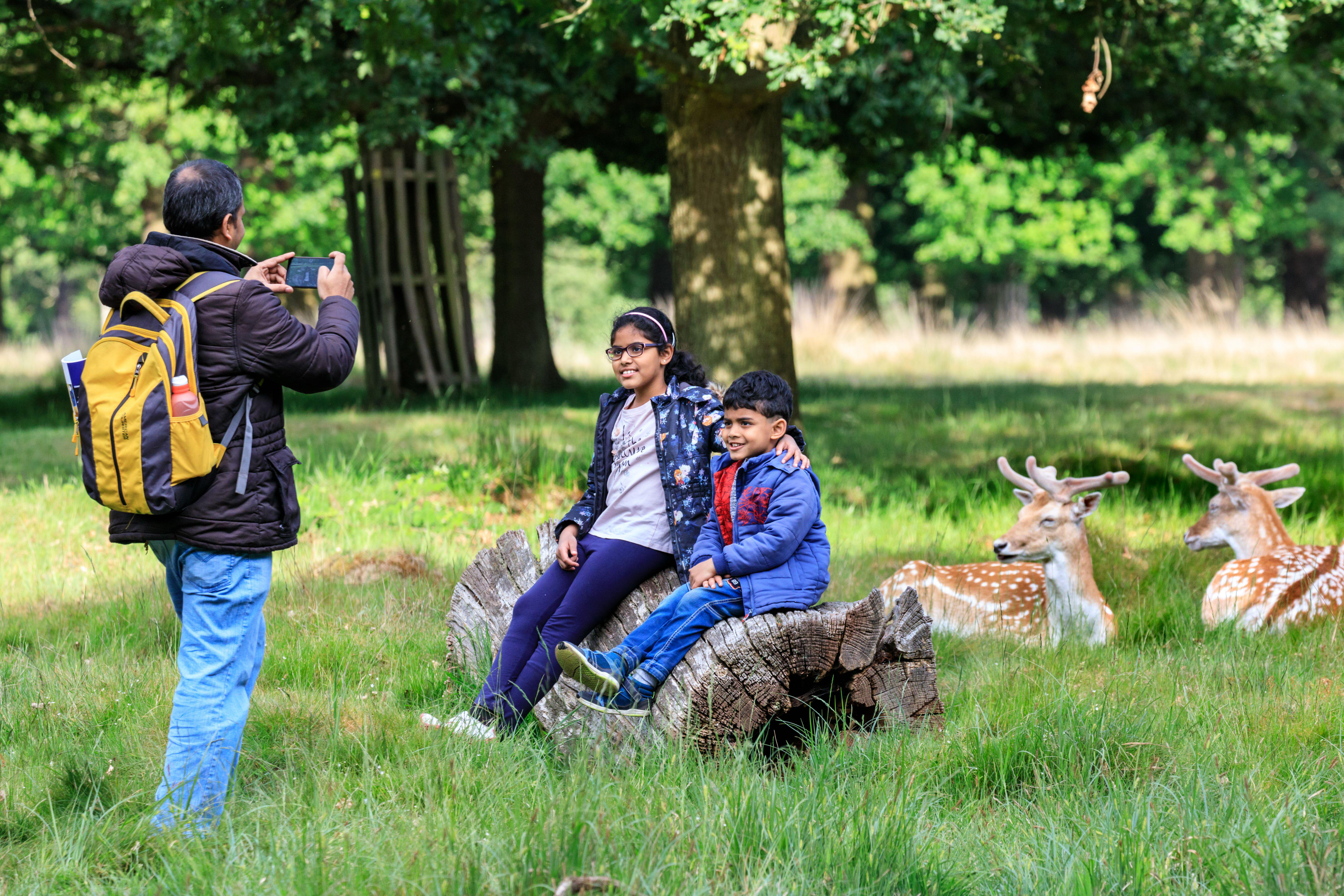 Exploring the Royal Parks of London with family